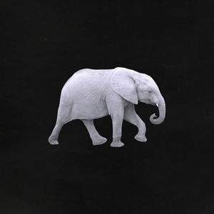 Picture for song 'SNOT x SODA LUV Type Beat - Elephant 120 bpm' by artist 'WHAT?BOYBEATS'