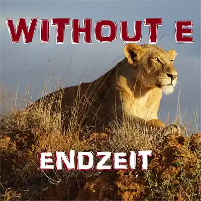 Picture for song 'ENDZEIT' by artist 'WITHOUT E'