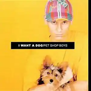 Song picture
