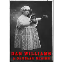 Picture for song 'An Iron Lady' by artist 'Dan Williams and Gamelan Regime'