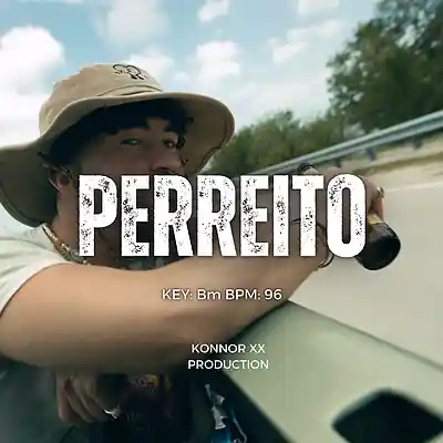Picture for song 'PERREITO (Future type beat)' by artist 'Konnor XX'