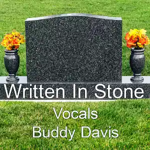 Picture for song 'Written In Stone' by artist 'Lonnie Ratliff'
