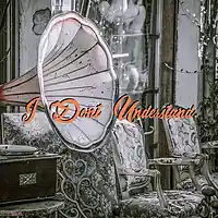 Picture for song 'I Dont Understand- Prod. By @nateskatesbeats' by artist 'Nate Skates Beats'