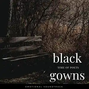 Picture for song 'BLACK GOWNS' by artist 'Peligot'