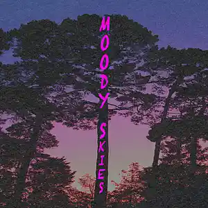 Picture for song '2019 Moody Skies (Nav x Lil Skies) Type beat' by artist 'playboydan'