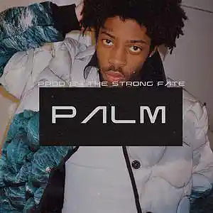 Picture for song '"Palm" - Brent Faiyaz Type Beat RnB Type Beat' by artist 'The Strong Fate'