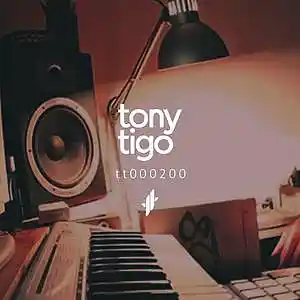Picture for song 'tt000200' by artist 'Tony Tigo'