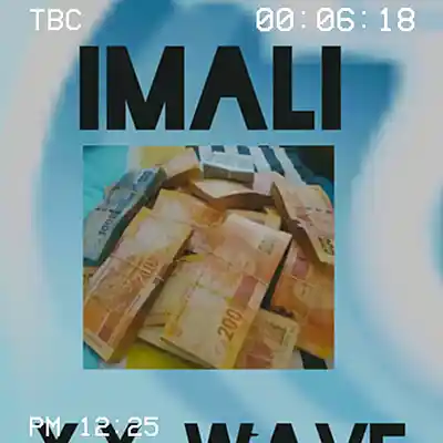 Picture for song 'Young wave imali' by artist 'Young Wave'