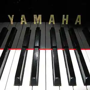 Picture for song 'Imagine' by artist 'Bryan Knight aka Knight Flight'
