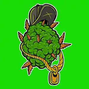 Picture for song 'Blood' by artist 'Ex C.S.E'