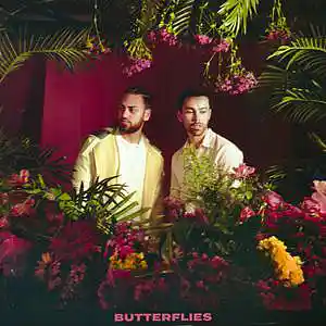 Picture for song 'Butterflies (Feat. Ali Gatie)' by artist 'Max Schneider'