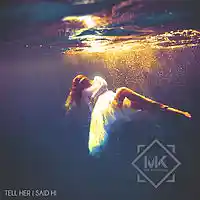 Picture for song 'Tell Her I Said Hi ' by artist 'Mr.Kooman'
