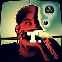 Picture for song 'The Walk' by artist 'Turtle Necromancer'