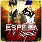 Picture for song 'ESPERA MI LLEGADA' by artist 'Adam Sanchez'