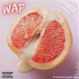 Picture for song 'WAP (MELODIC TYPE BEAT)' by artist 'GRUMANJI MUSIQUE DEALER'