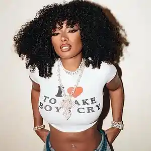 Picture for song 'Bank Run - Megan Thee Stallion Type Beat' by artist 'Milanmadeit'