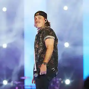 Picture for song 'Sunkissed - Morgan Wallen Type Beat' by artist 'Milanmadeit'