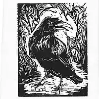 Picture for song 'Nantucket Vol.2 Sesh.2: Streets Of Philadelphia' by artist 'paul gorman and the hypnotist collectors'