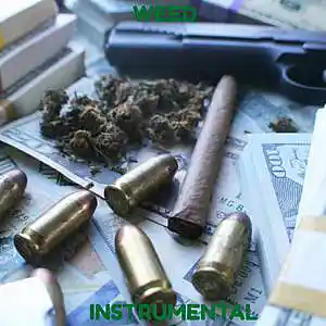 Picture for song 'WEED' by artist 'Vinnce'