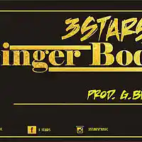 Picture for song 'ginger body' by artist '3stars music'