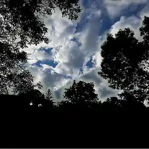 Picture for song '993739' by artist 'AuDioChosis - Steven F. Allen - AuDio MiRage'