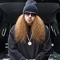 Picture for song 'Satalites (Rittz)' by artist 'Beat Splash'