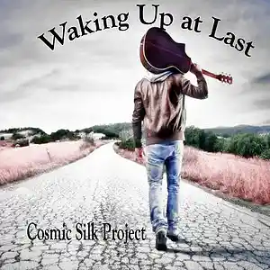 Picture for song 'Waking Up At Last' by artist 'Cosmic Silk Project'