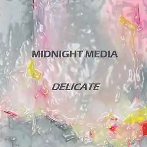 Picture for song 'Fragile Dream' by artist 'Midnight Media'