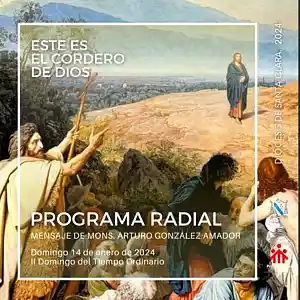 Picture for song 'II Domingo ordinario, 14 de enero' by artist 'Producciones Vandor'