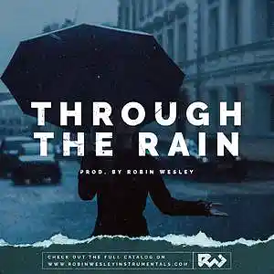 Picture for song 'Through The Rain' by artist 'Robin Wesley'