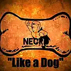 Picture for song 'Like a Dog' by artist 'Turtle Necromancer'