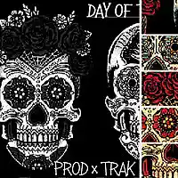 Picture for song 'DAY OF THE DEAD TYPE PROD x TRAK' by artist 'Zayroc Beats'