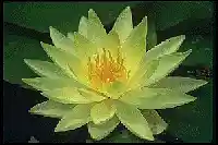 Picture for song 'BeaT19' by artist 'cliffbanga'