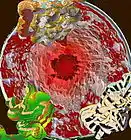 Picture for song 'Head Held High' by artist 'DAMN DeXx'