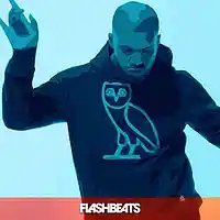 Picture for song 'No Love Lost' by artist 'FlashBeats.net'