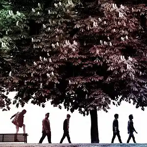 cover pic