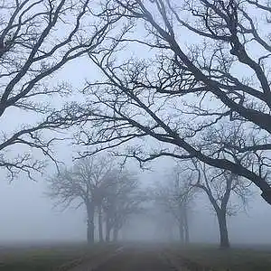 Picture for song 'SUMMER' by artist 'Jupiner'