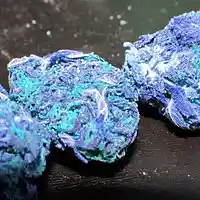 Picture for song 'Blue Loud' by artist 'Main The Loud Man'