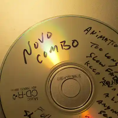 Picture for song 'novocombo' by artist 'newton1'