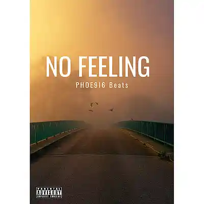 Picture for song 'NO FEELING' by artist 'PHOE9I6 Beats'