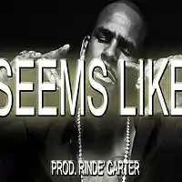 Picture for song 'Seems Like- Prod. By Rinde' Carter' by artist 'Rinde' Carter Productions'