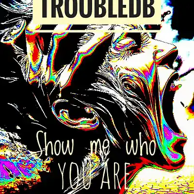Picture for song 'Show me who you are' by artist 'Troubled B'