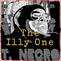 Picture for song 'The Illy One' by artist 'Turtle Necromancer'