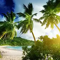 Picture for song 'Sunshine' by artist '718 beats (KZ)'