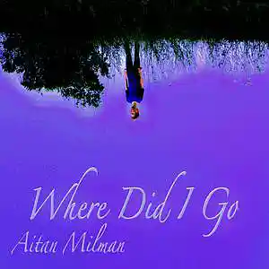 Picture for song 'Where Did I Go' by artist 'Aitan Milman'