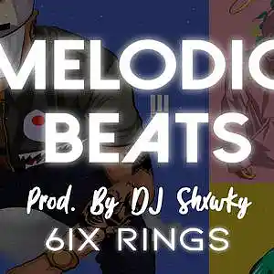 Picture for song '6IX RINGS MELODIC BEAT. PROD BY DJ SHXWKY' by artist 'DJ Shxwky'