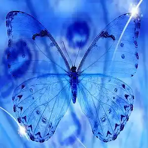 Picture for song 'Shades of Blue' by artist 'Michael Duran'