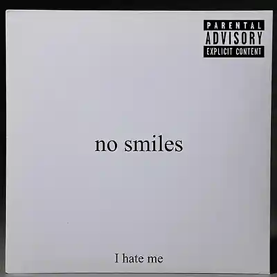 Picture for song 'I hate me' by artist 'No Smiles'