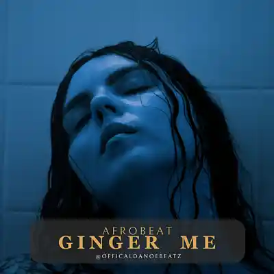 Picture for song 'GINGER ME - Afrobeat' by artist 'OfficialDanoeBeatz'