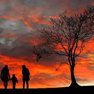 Picture for song 'The Great Family Tree' by artist 'Round The Globe'